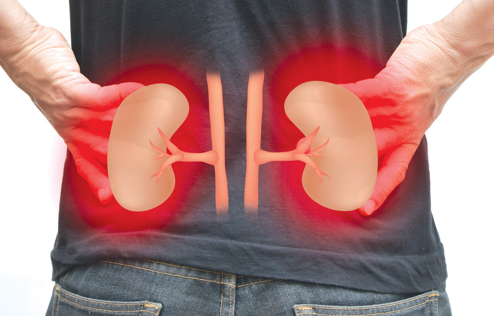 What is chronic kidney disease?