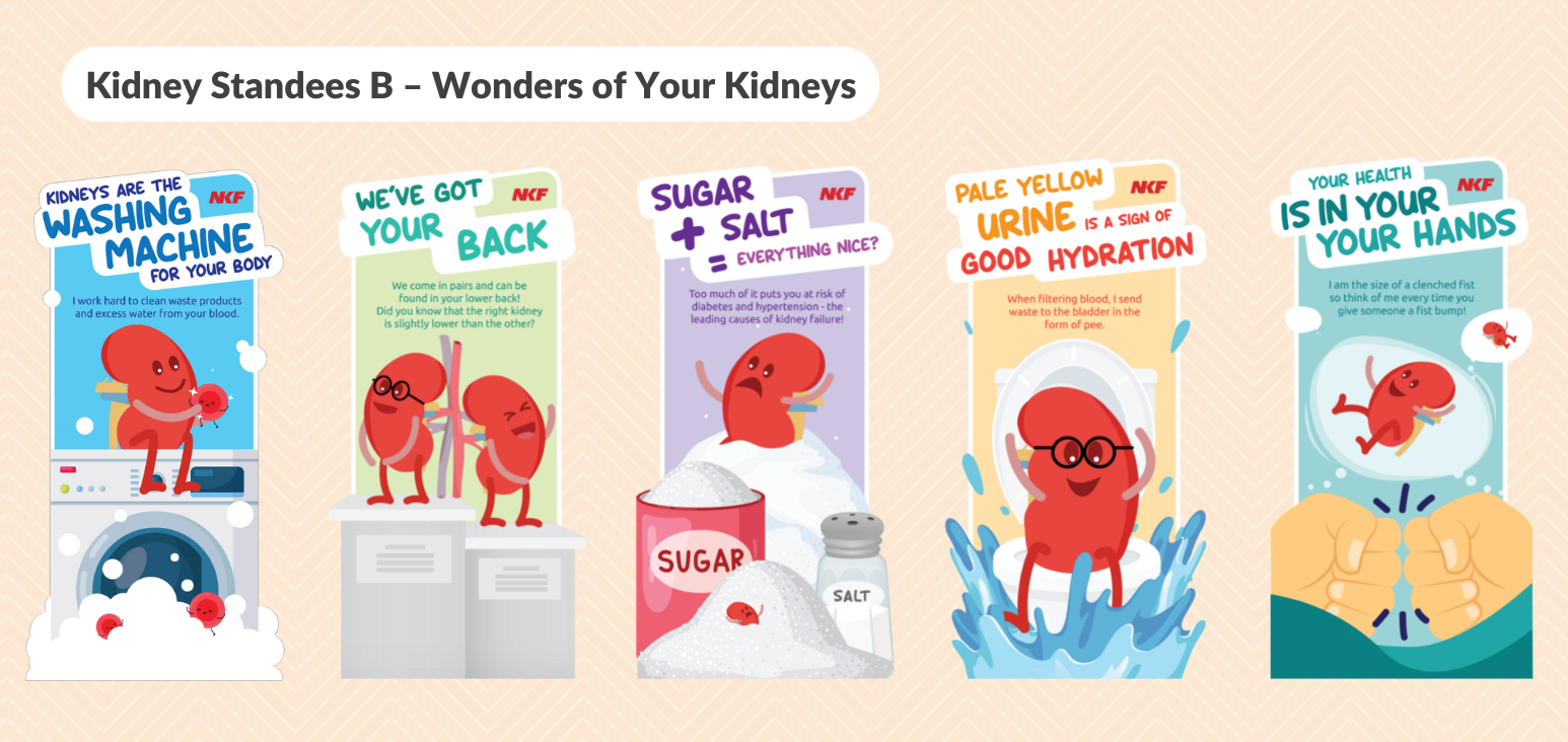 Wonders of Your Kidneys Standees