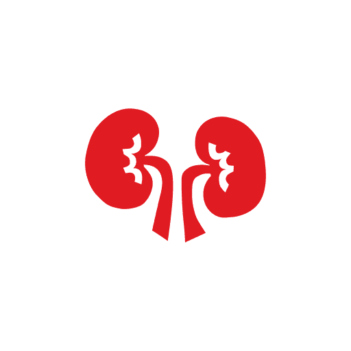 Kidney Land